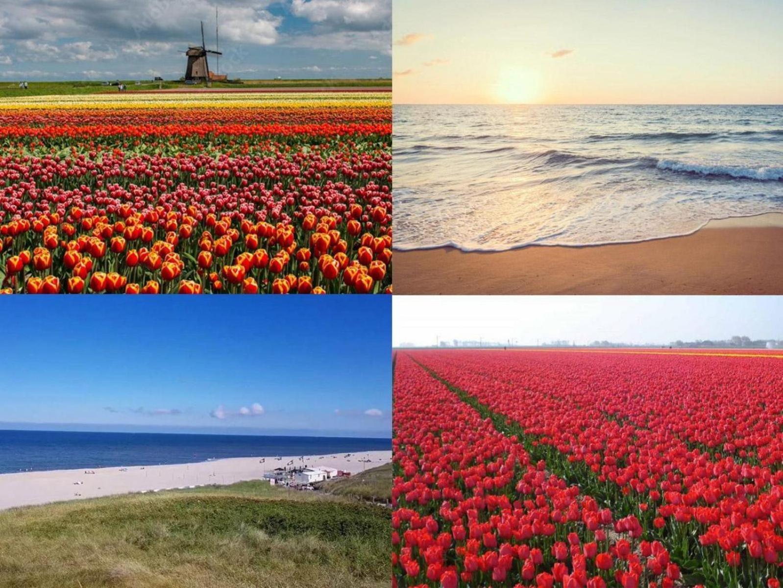 Wijde Blick Callantsoog Luaran gambar